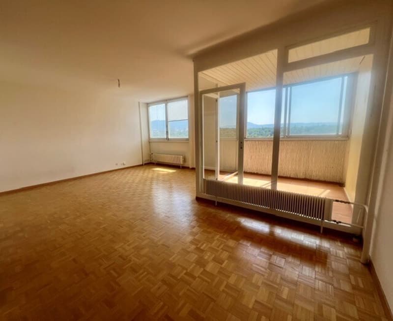 APPARTEMENT TRAVERSANT DE 5 PIECES (2)