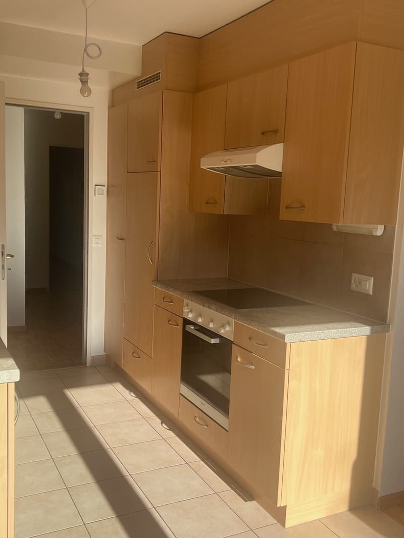 Appartement de 4 pièces avec terrasse et jardin (5)