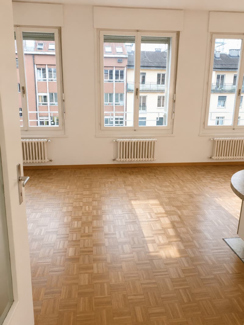 Appartement de 1.5 pièces au 4ème étage (3)