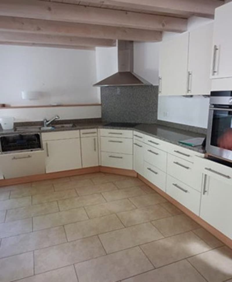 Joli triplex sur la commune de Plan-les-Ouates (2)