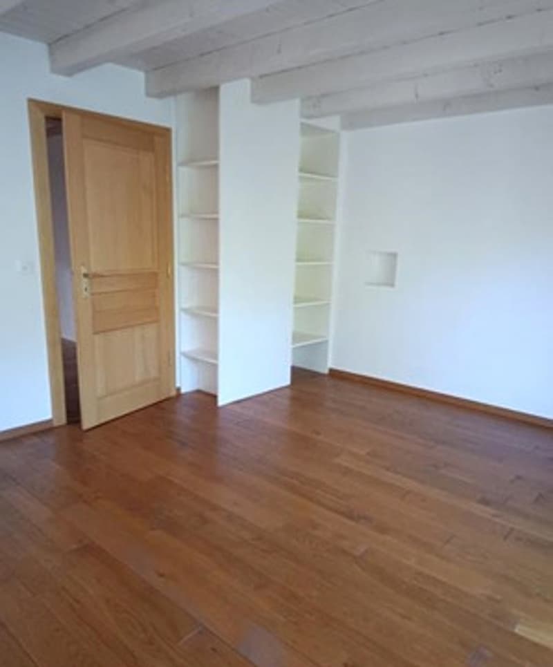 Joli triplex sur la commune de Plan-les-Ouates (3)