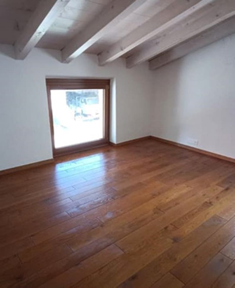 Joli triplex sur la commune de Plan-les-Ouates (4)