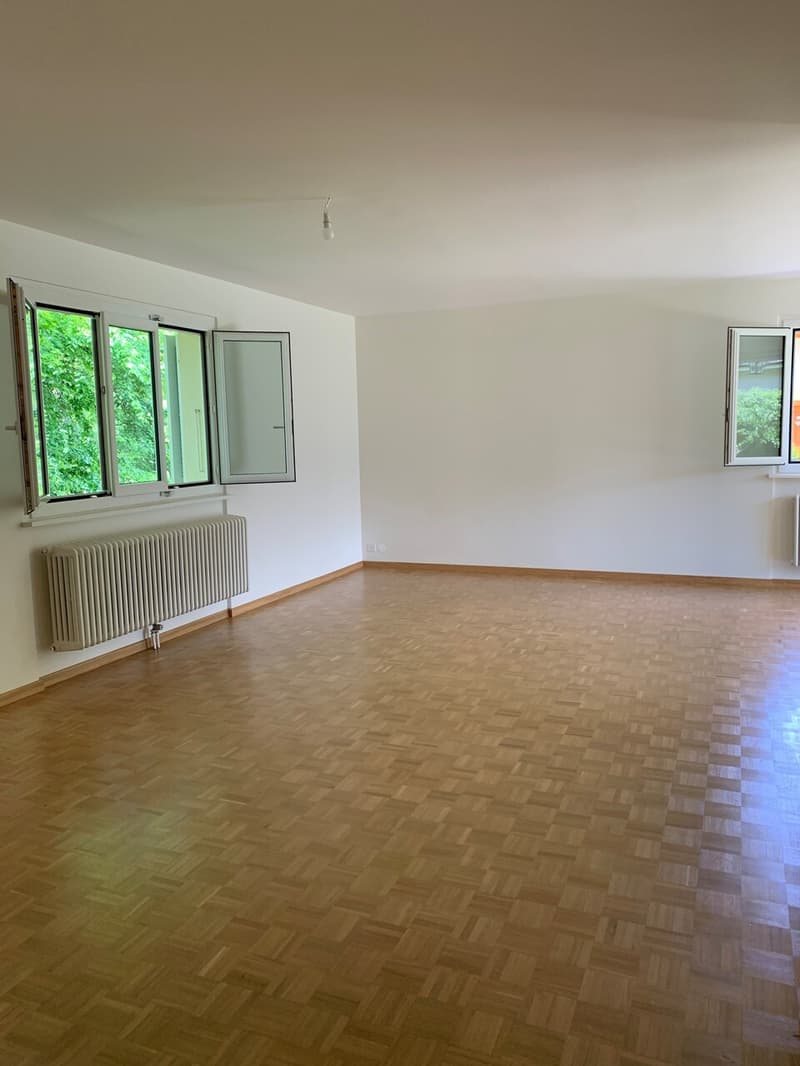 Salon-séjour