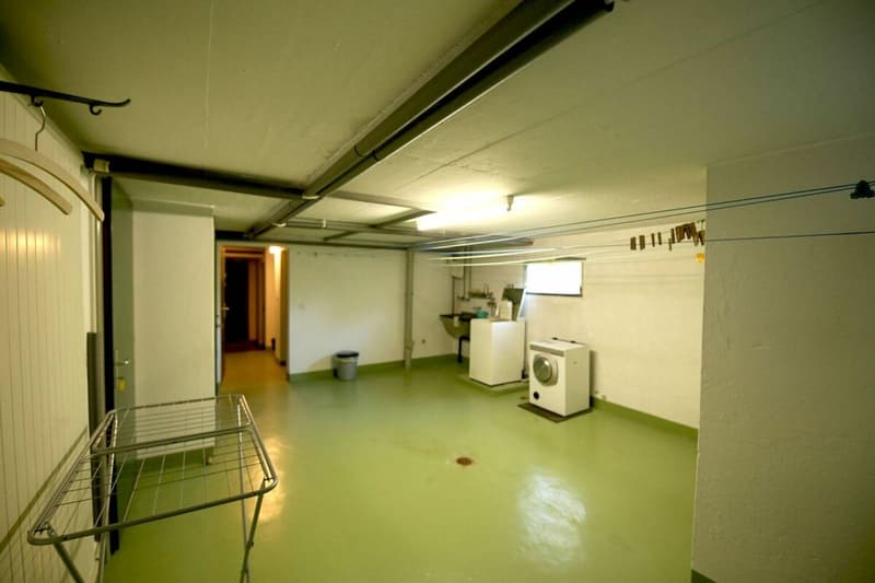 Villa individuelle 7.5 pièces à Fribourg (20)