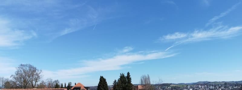Les Résidences "Mont-Blanc" à Fribourg (12)