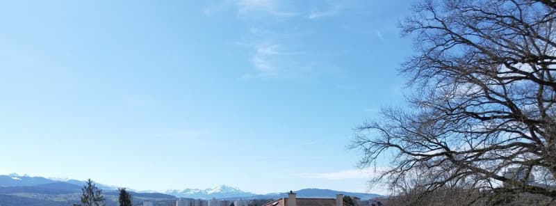 Quartier du Guintzet - Les Résidences "Mont-Blanc" à Fribourg (9)