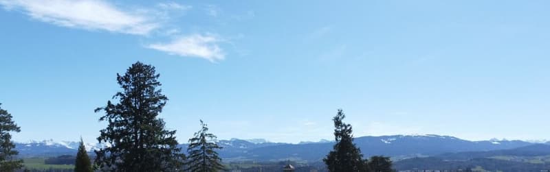 Quartier du Guintzet - Les Résidences "Mont-Blanc" à Fribourg (11)
