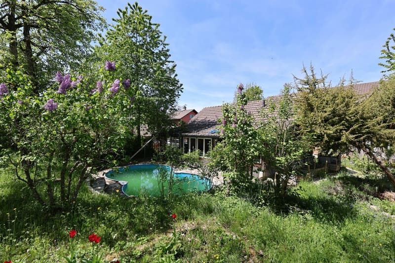 En exclusivité - Maison de charme de 7.5 pièces avec parcelle de 2'000 m2 (5)