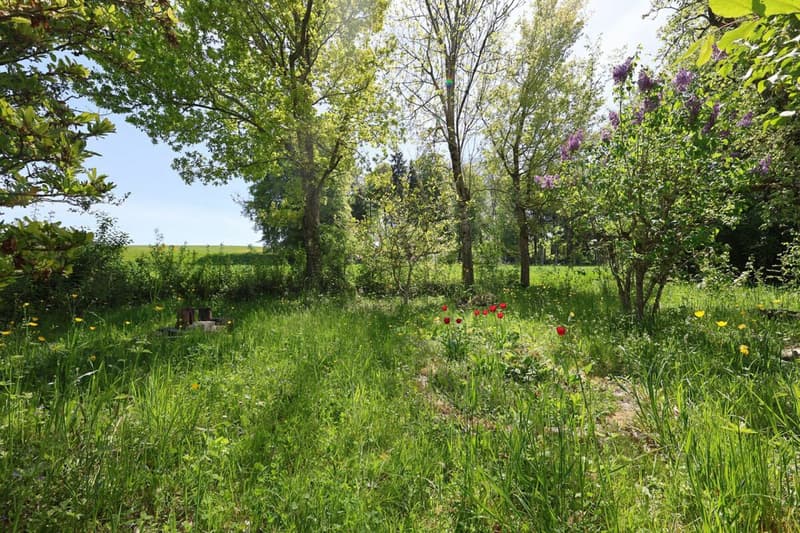 En exclusivité - Maison de charme de 7.5 pièces avec parcelle de 2'000 m2 (6)