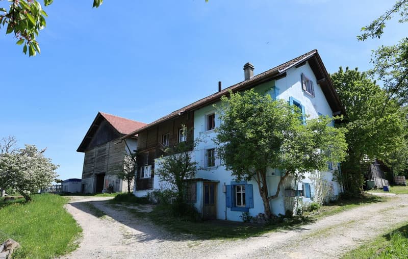 En exclusivité - Maison de charme de 7.5 pièces avec parcelle de 2'000 m2 (1)