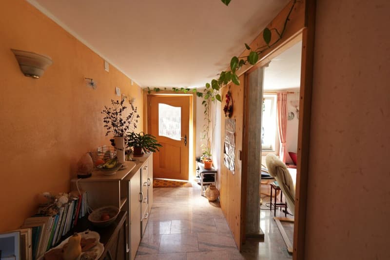 En exclusivité - Maison de charme de 7.5 pièces avec parcelle de 2'000 m2 (9)