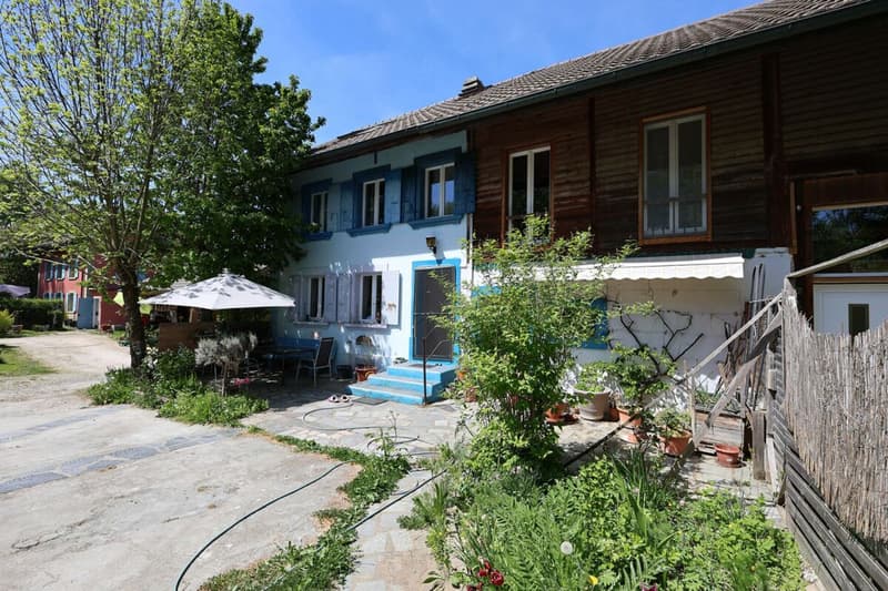 En exclusivité - Maison de charme de 7.5 pièces avec parcelle de 2'000 m2 (3)