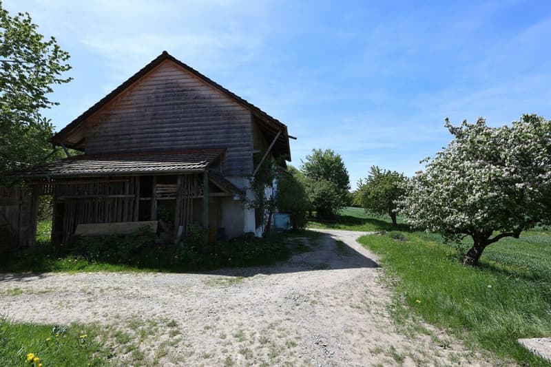 En exclusivité - Maison de charme de 7.5 pièces avec parcelle de 2'000 m2 (7)
