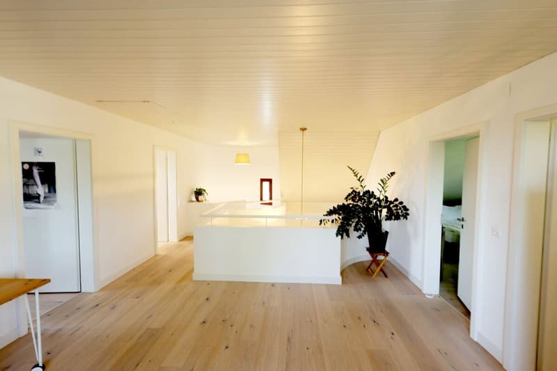 Magnifique maison rénovée de 7.5 pièces avec piscine extérieure (19)