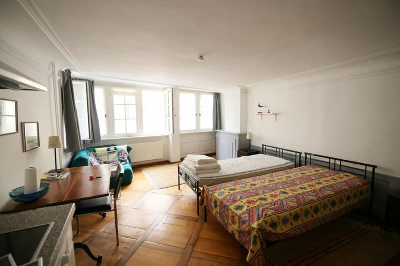 Charmant studio de 28 m2 situé au centre-ville (3)