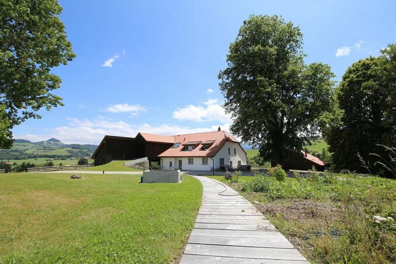 Detached house 9 rooms in Rechthalten (9)