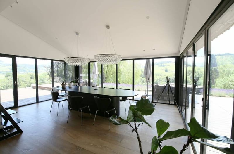 Detached house 9 rooms in Rechthalten (15)