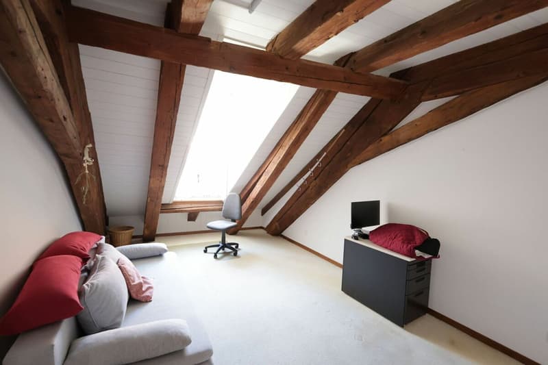 Spacieux logement de 4 pièces au dernier étage d'une immeuble historique (10)