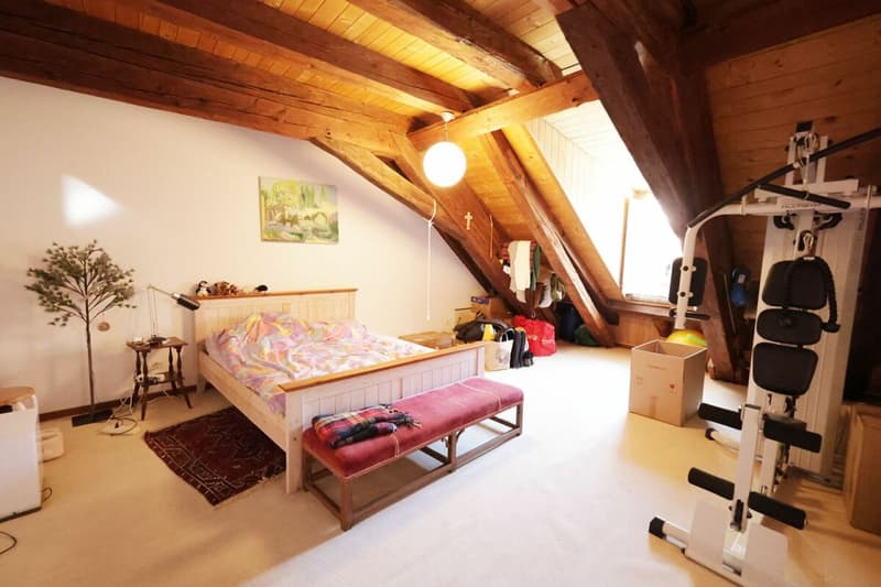 Spacieux logement de 4 pièces au dernier étage d'une immeuble historique (12)