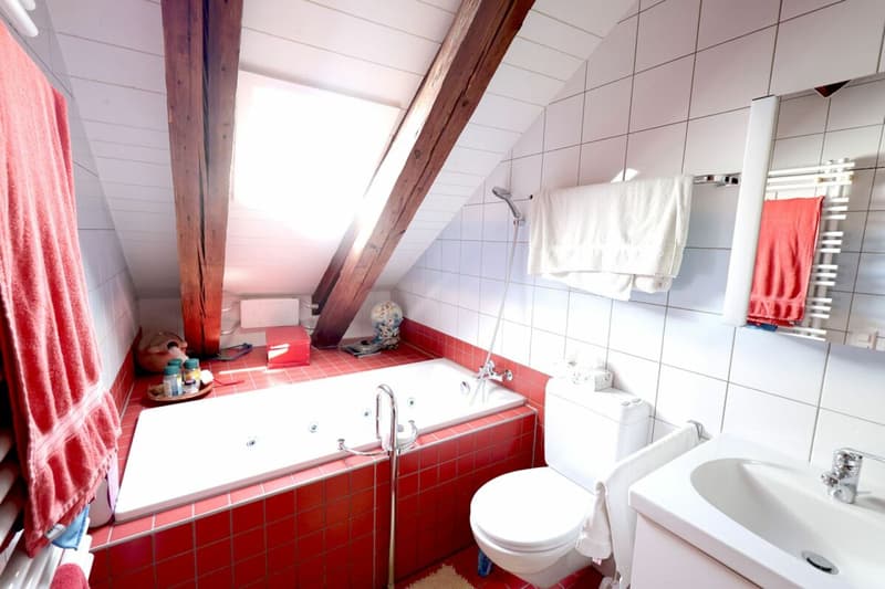 Spacieux logement de 4 pièces au dernier étage d'une immeuble historique (11)