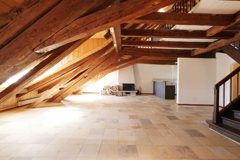Spacieux logement de 4 pièces au dernier étage d'une immeuble historique (2)