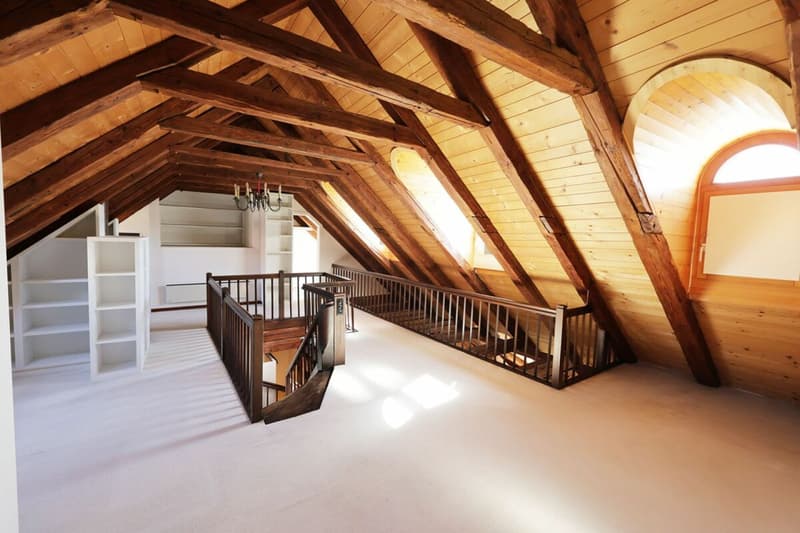 Spacieux logement de 4 pièces au dernier étage d'une immeuble historique (6)