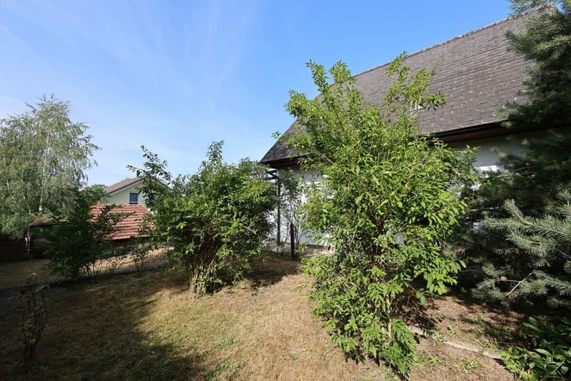 Maison de 4 pièces avec parcelle de 900 m2 - Idéale pour un couple (7)