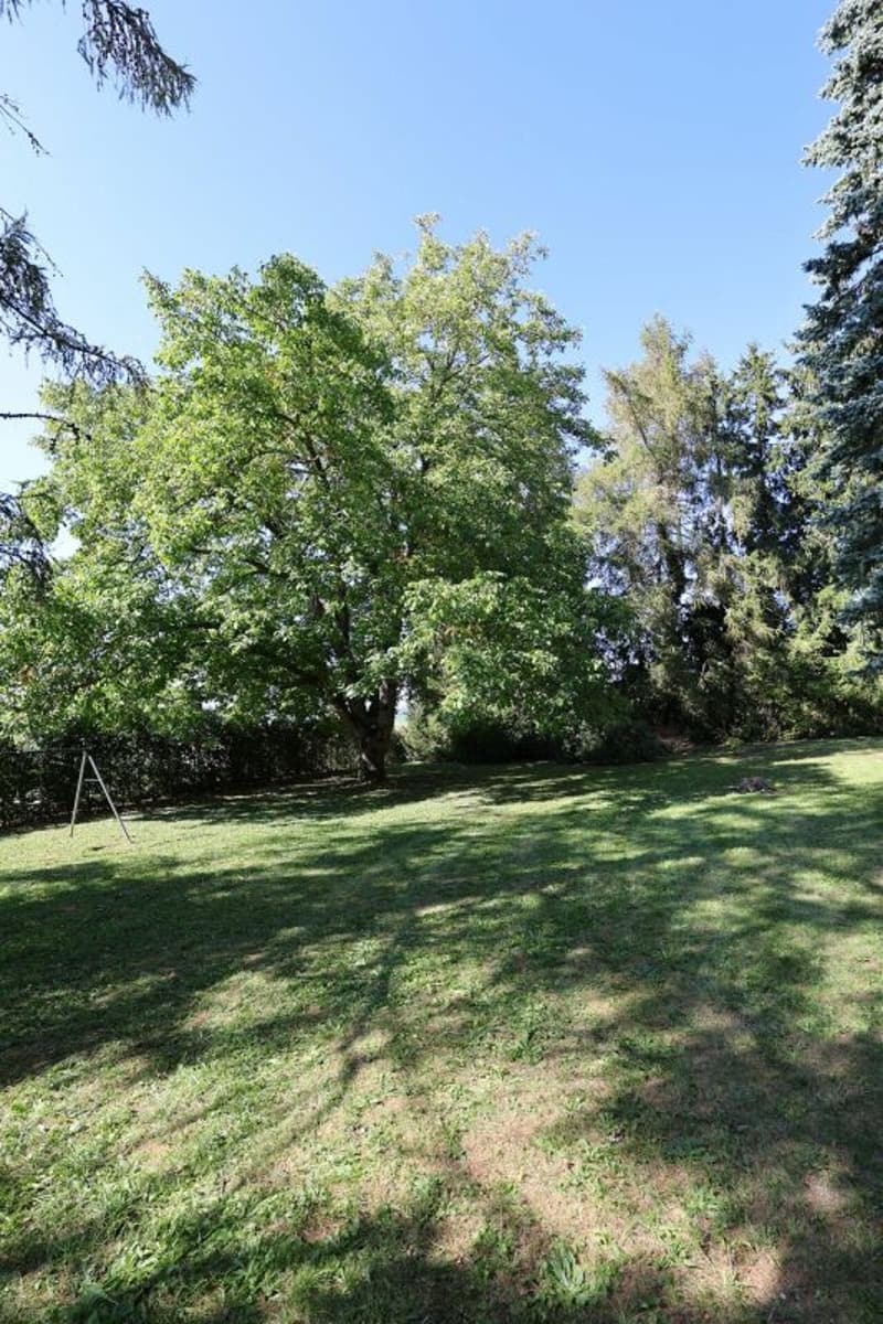 Demeure de caractère avec parc de 2'600 m2 de terrain (9)