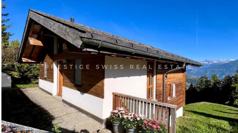 Magnifique chalet de 5 pièces avec vue panoramique à Anzère (17)