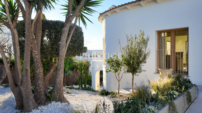 white house, tiled roof, large windows, balcony, garden with trees and plants