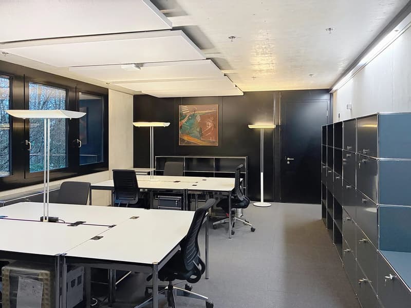 Bureau meublé de 38 m² ? Mies (FIBA - Fédération Internationale de Basketball) (4)