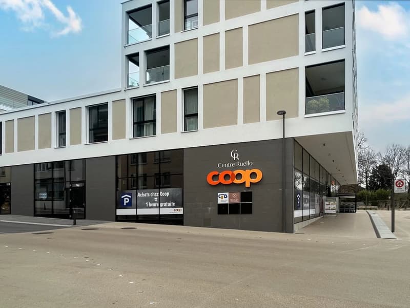 Rolle - Surface commerciale - 508 m² (2)