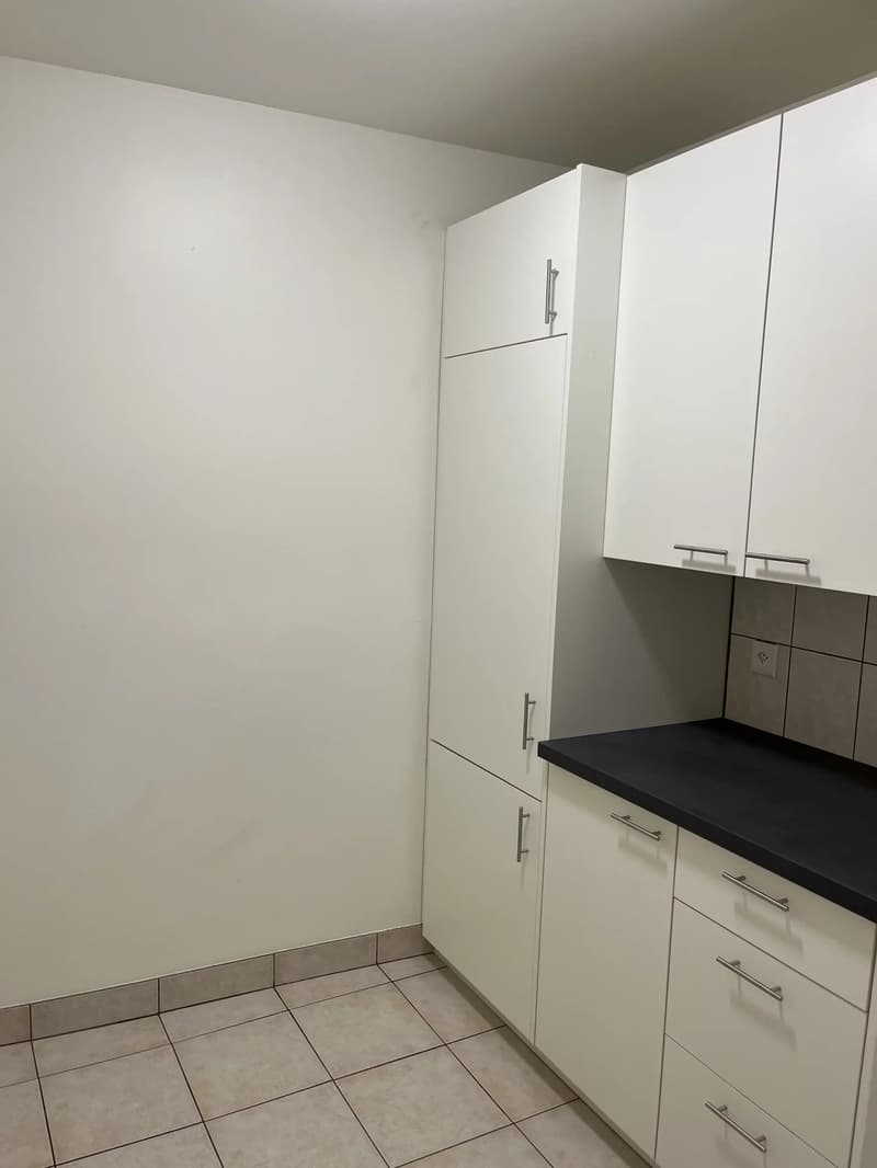Appartement 4 pièces avec poste de concierge (3)
