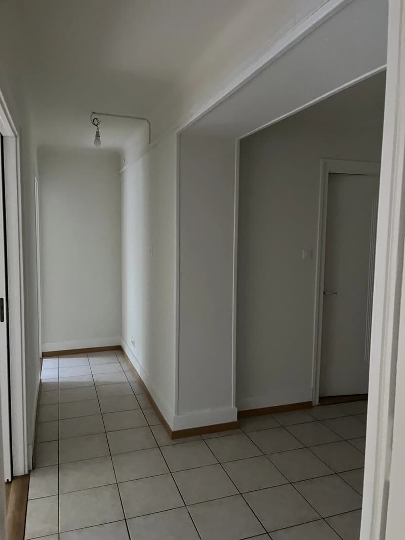 Appartement 4 pièces avec poste de concierge (8)