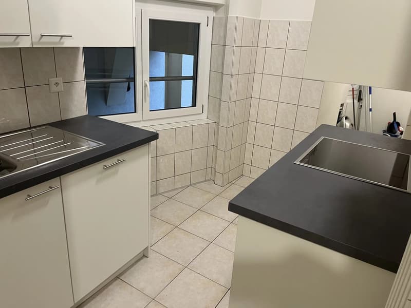Appartement 4 pièces avec poste de concierge (2)