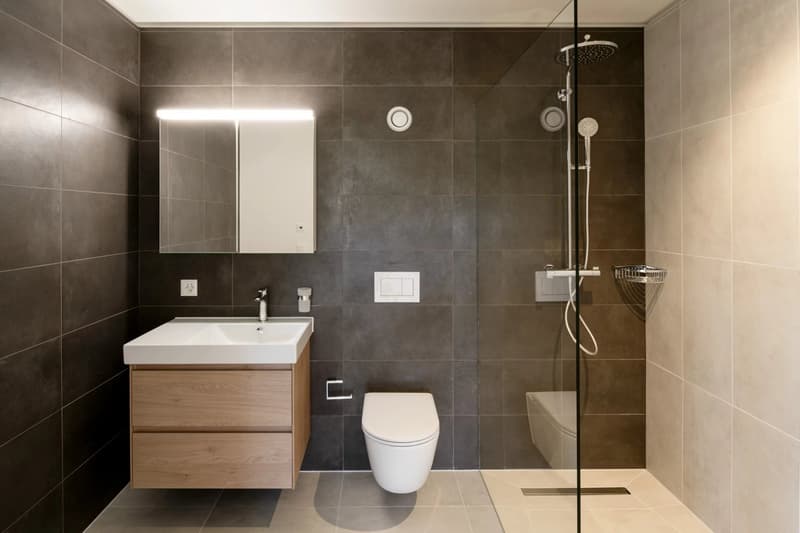 Appartements neufs 3.5 pièce à Ecublens dès 87 m² - www.mapraz-parc.ch (6)
