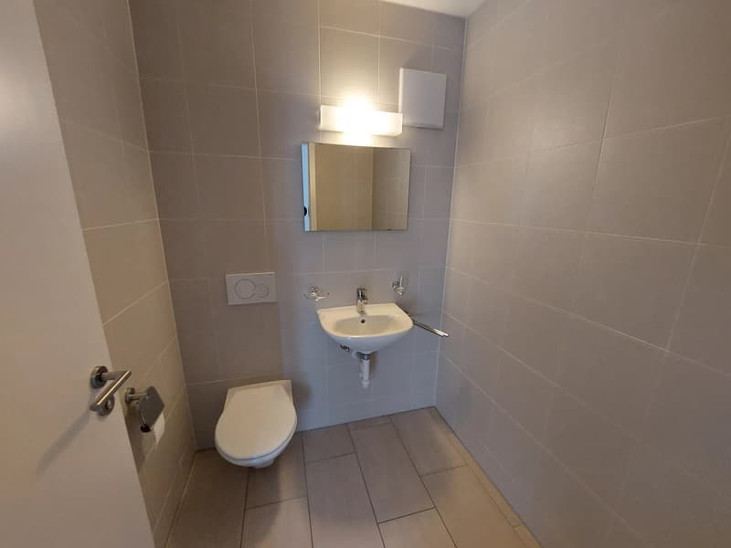 Bel appartement de 3.5 pièces (6)