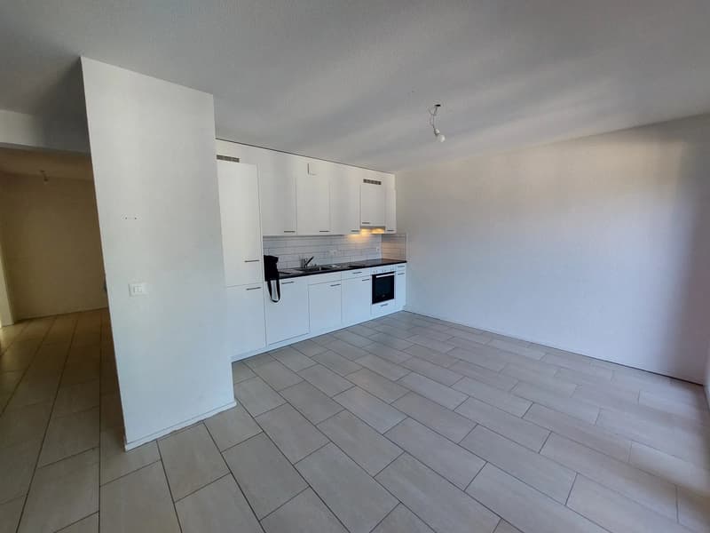 Bel appartement de 3.5 pièces (1)