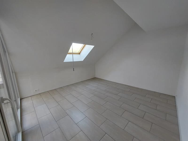 Bel appartement de 3.5 pièces (3)