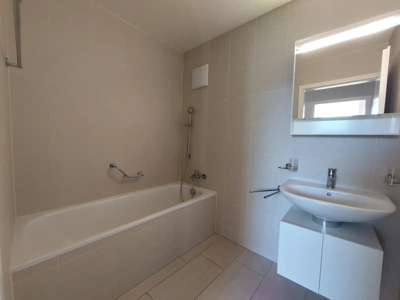 Bel appartement de 3.5 pièces (5)