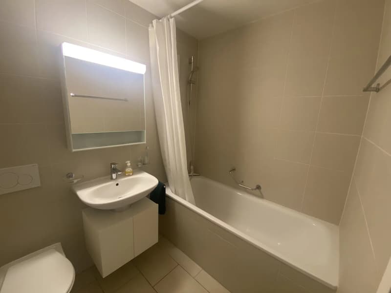 Appartement de 3.5 pièces avec balcon (6)
