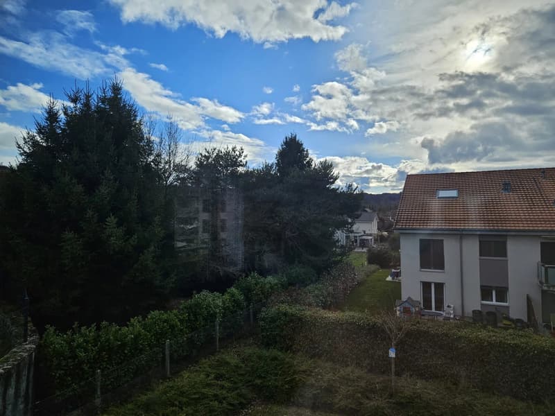 Votre futur chez-vous à Yvonand : profitez d'un cadre de vie privilégié entre nature, tranquillité et proximité du lac ! (7)