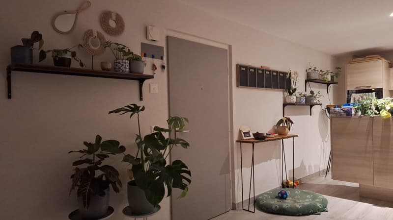 A room with several potted plants, shelves with keys, and a door