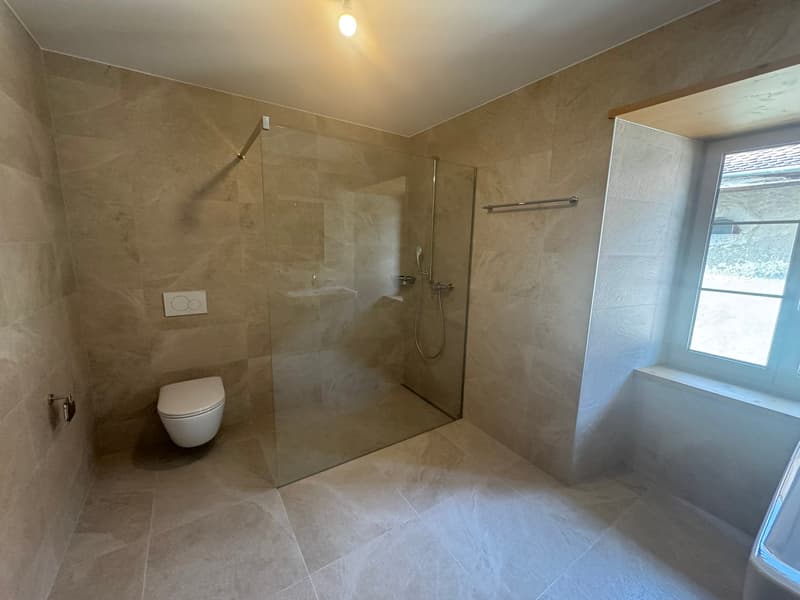 Magnifique appartement de 4,5 pièces avec balcon au deuxième étage (13)