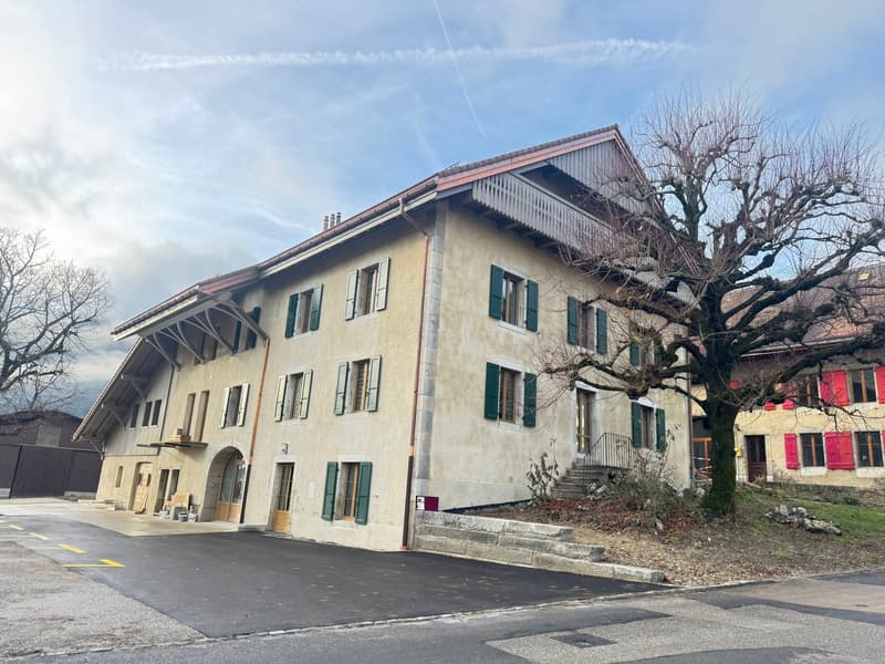 Magnifique appartement de 4,5 pièces avec balcon au deuxième étage (15)