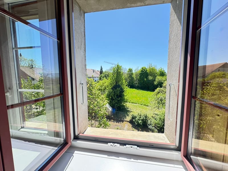 Charmant appartement de 3 pièces sous les toits - Baisse de prix (6)