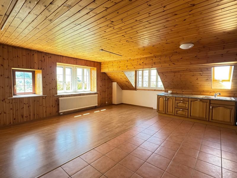 Charmant appartement de 3 pièces sous les toits - Baisse de prix (4)