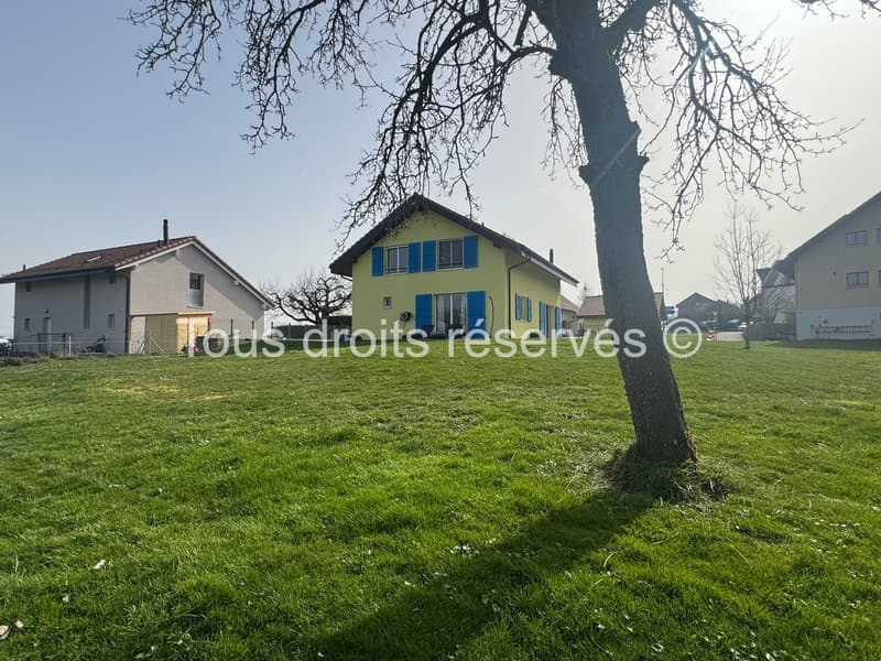 Magnifique villa individuelle de 5,5 pièces à Bofflens (4)