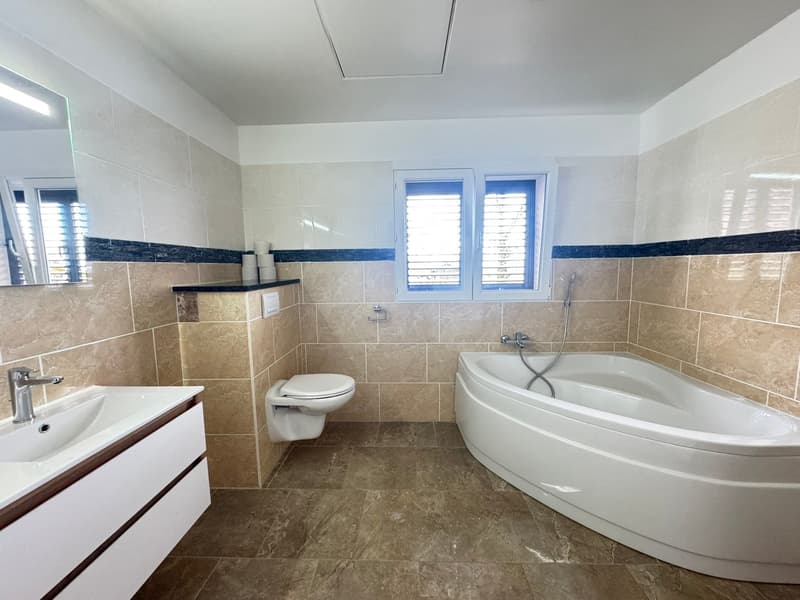 A louer superbe appartement de 3.5 pièces avec vue (5)