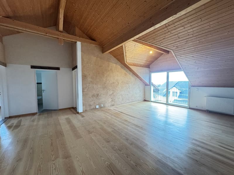 A louer superbe appartement de 3.5 pièces avec vue (3)